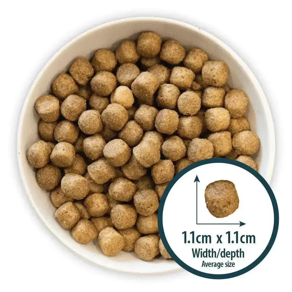 Brown round kibble pellets in a white bowl for burns alert lamb dog food packed with amino acids hydrate benefits