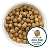 Brown round kibble pellets in a white bowl for burns alert lamb dog food packed with amino acids hydrate benefits
