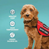 Fluffy brown dog wearing red and black support animal vest with support animal text for burns alert lamb dog food