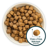 Brown cube-shaped burns canine active kibble in a white bowl showing active dog food daily feeding costs