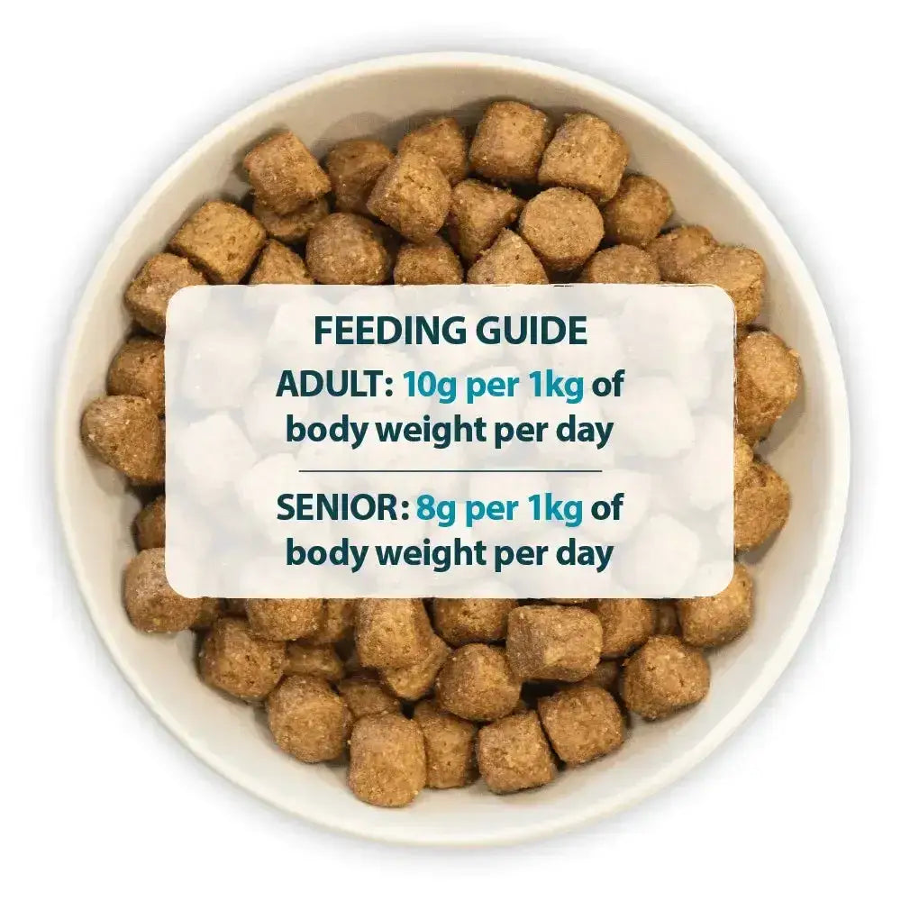 A white ceramic bowl filled with brown cube-shaped burns canine active dog food pellets for active dog food feeding costs