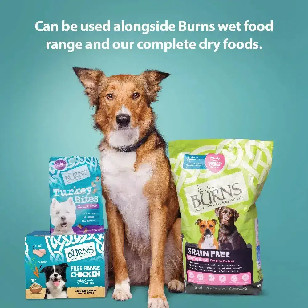 A brown and white dog sits by burns hypoallergenic mixer dog food bags for sensitive dogs including grain free options