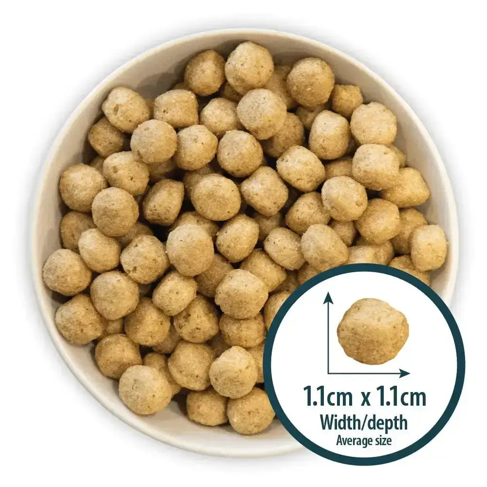 Light brown round kibble pellets in a white bowl for burns hypoallergenic mixer dog food for sensitive dogs
