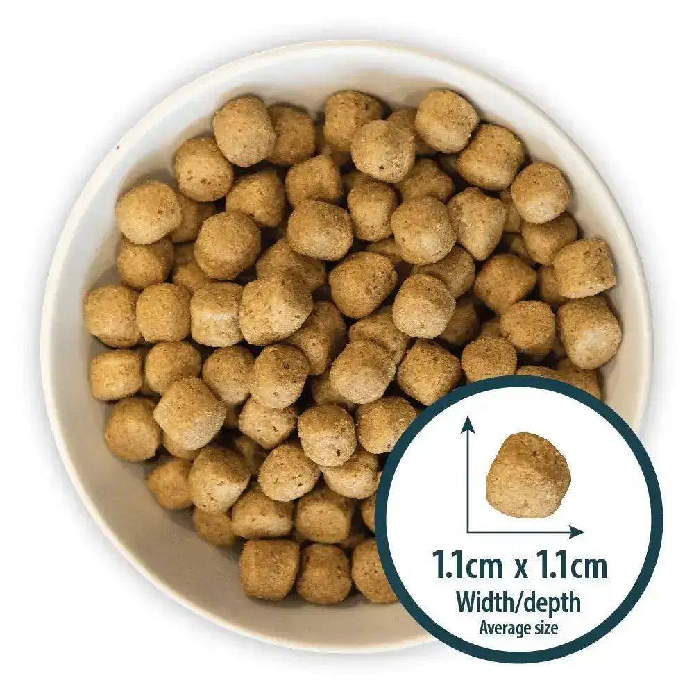 Brown round kibble pellets of burns original fish dog food by john burns in a white bowl