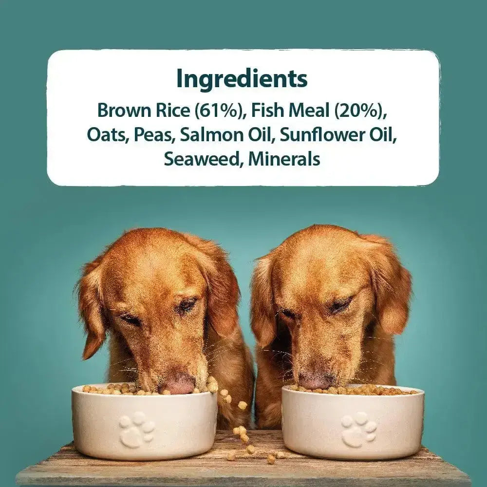 Cream-colored ceramic dog food bowls with embossed paw prints for burns original fish dog food by john burns