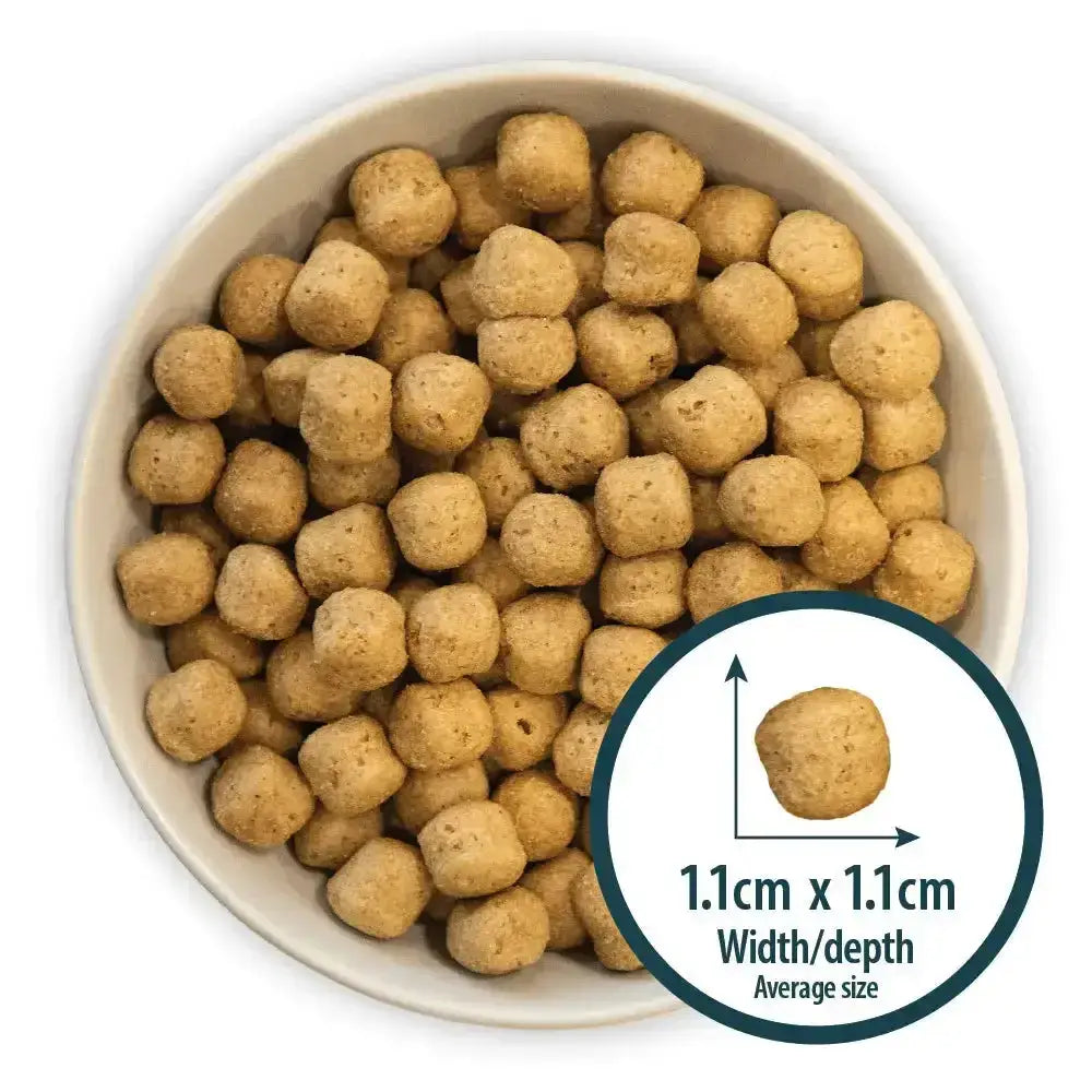 Tan round kibble pellets in a white bowl of burns original lamb dog food by john burns