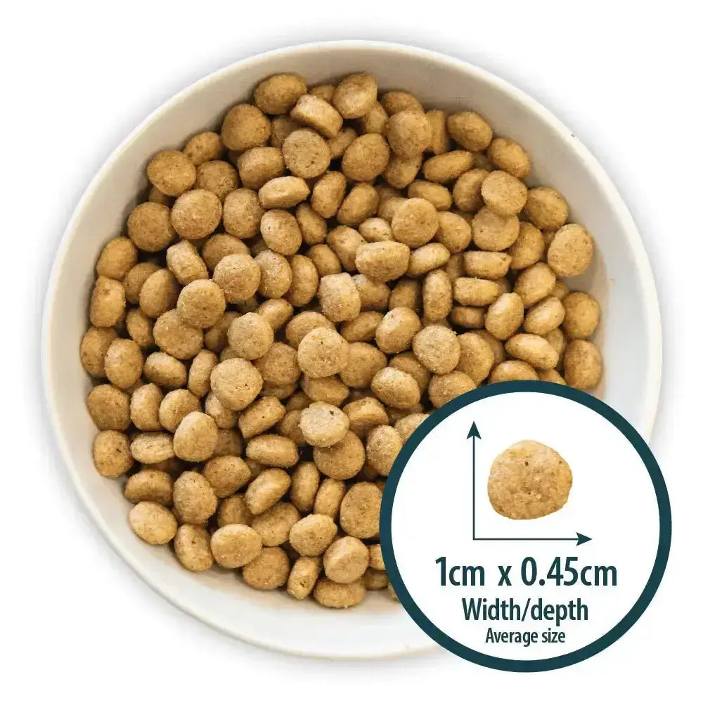 A white ceramic bowl filled with light brown burns puppy mini puppy food chicken kibble pellets