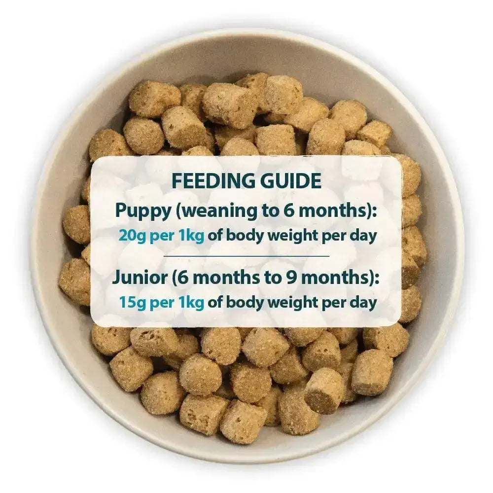 A white ceramic bowl filled with light brown cube-shaped burns puppy mini puppy food chicken and rice pellets