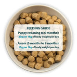 A white ceramic bowl filled with light brown cube-shaped burns puppy mini puppy food chicken and rice pellets