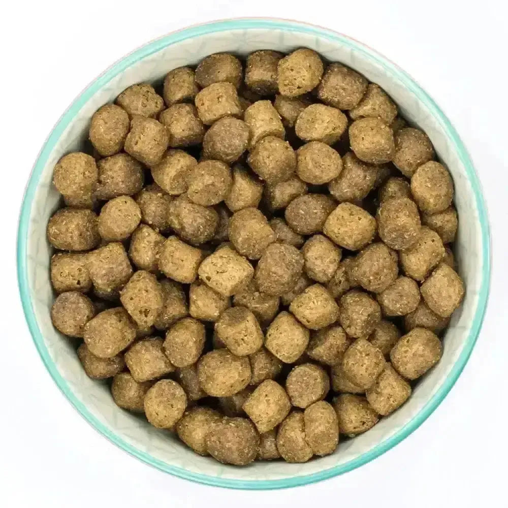 Burns Puppy Original Chicken 2kg Dog Food