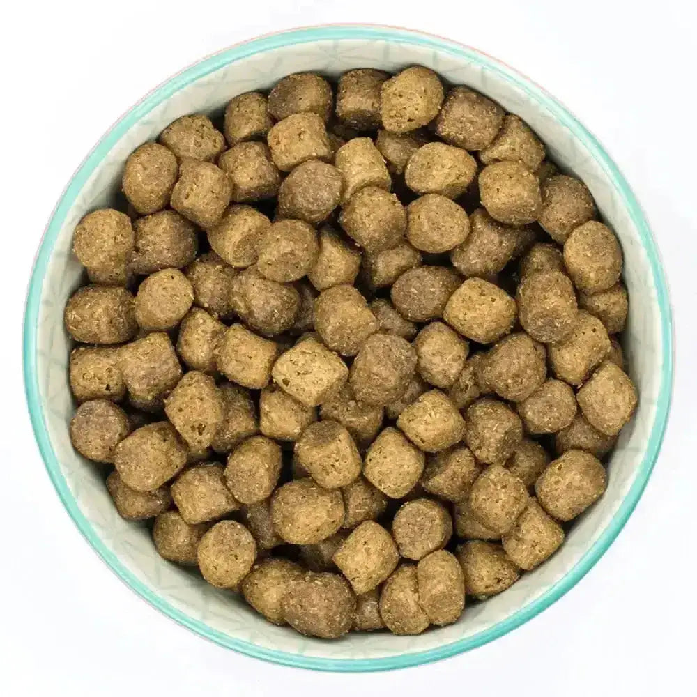 A bowl filled with brown cube-shaped burns puppy original kibble made with natural ingredients developed by john burns based