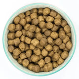 A bowl filled with brown cube-shaped burns puppy original kibble made with natural ingredients developed by john burns based