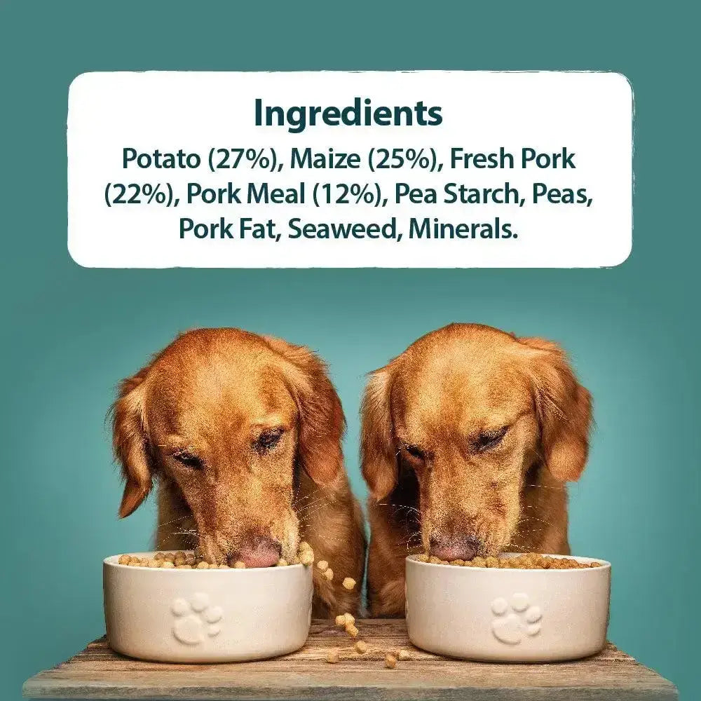 Cream-colored ceramic dog food bowls with embossed paw prints for burns sensitive pork dog food by veterinary surgeon john