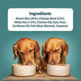Two golden retrievers eating small breed dog food from white ceramic bowls with paw prints featuring burns toy chicken