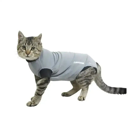 Gray fabric buster body suit for cats with black accents and belly enabling pads for comfortable protection
