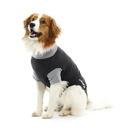 Black and gray buster body suit for dogs with snug stretchy fabric and belly enabling pads for skin disease comfort