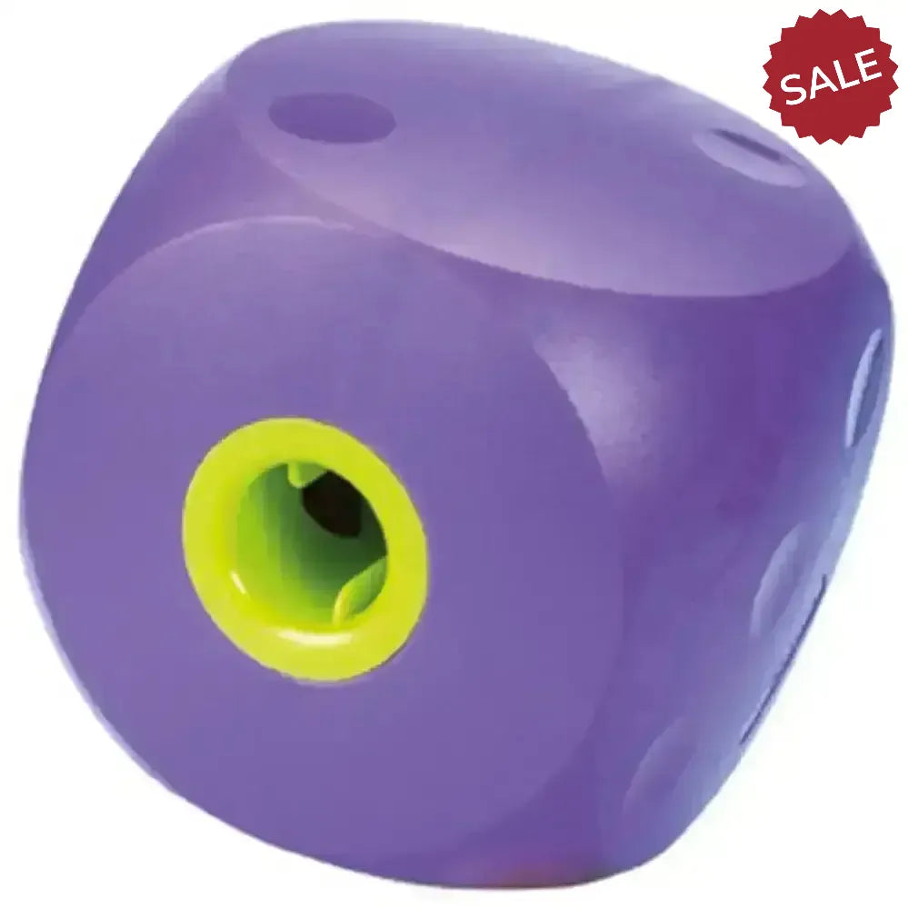 Buster Mini Cube Small Dog Toys Purple Dog Toys