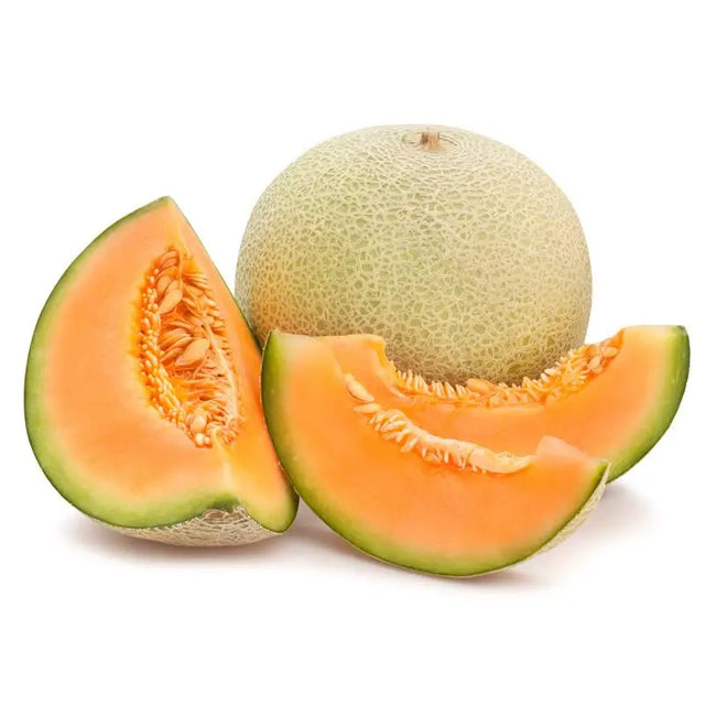 A whole cantaloupe melon with netted light green rind next to two bright orange slices showcasing juicy interior ideal for equestrian snacks