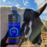 A dark blue martin killitch lotion bottle with silver cap held in front of a black and white cow, featuring killitch emulsion