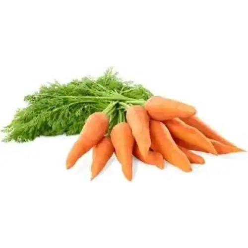 Carrots From Our Little Farm Shop Bunch vegetables