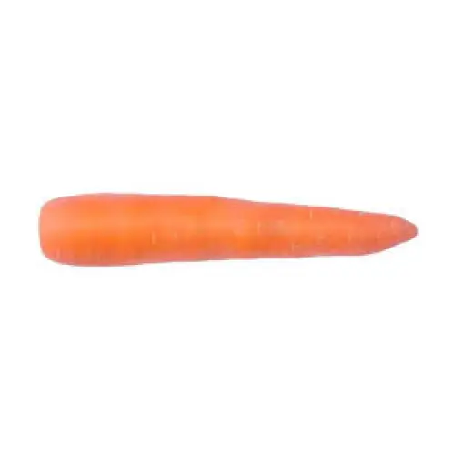 Carrots From Our Little Farm Shop Bunch vegetables