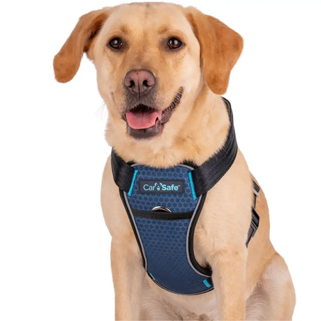 Blue and black carsafe crash tested dog harness with teal accent stitching designed as a dog car seat belt