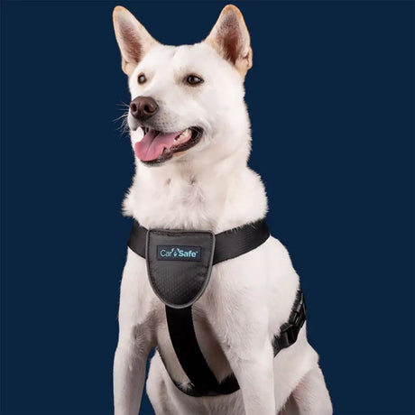 Black carsafe dog travel harness with padded chest panel and adjustable straps for dog car harness safety