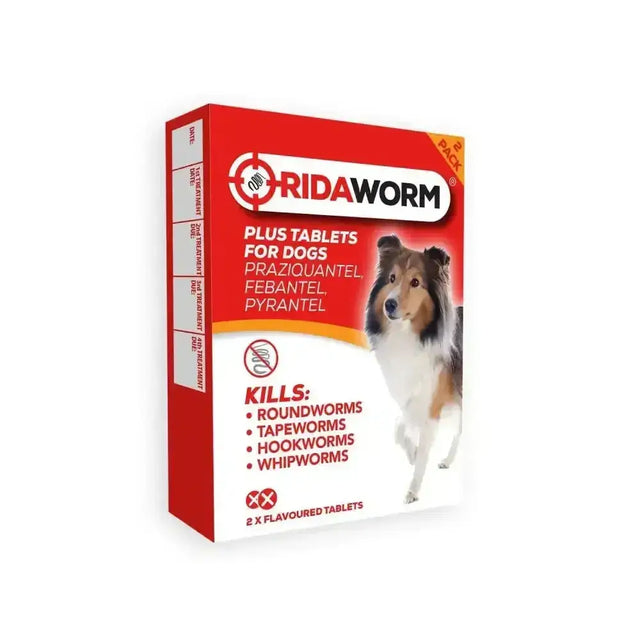 Red and white cardboard box of chanelle ridaworm plus dog worming product with a collie for regularly worming dogs