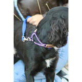 Check Chain Collar Brown Small 