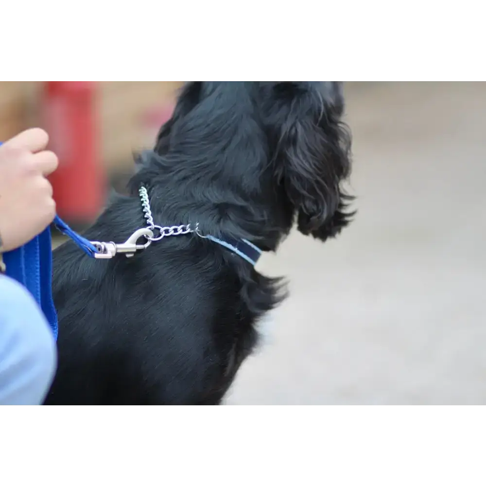 Check Chain Collar Brown Small 