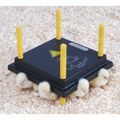 Black plastic chicktec comfort 25 std eu with four yellow heating rods electric hen brooders using modern materials