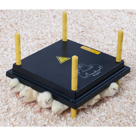Black plastic chicktec comfort 30 std eu chick warmer with yellow posts made of modern materials for electric hen brooders