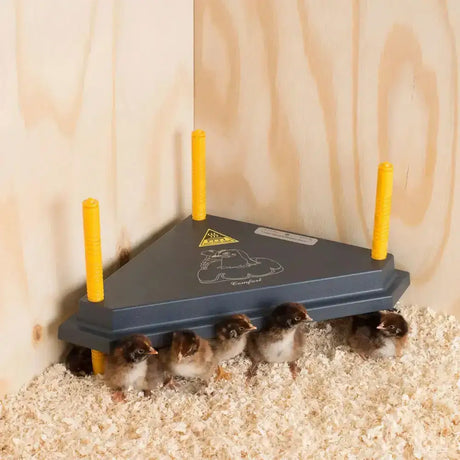 Dark gray triangle corner brooder with four yellow poles and warning label in chicktec comfort electric hen brooders uk