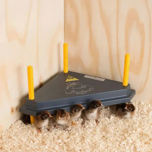 Dark gray triangle corner brooder with four yellow poles and warning label in chicktec comfort electric hen brooders uk