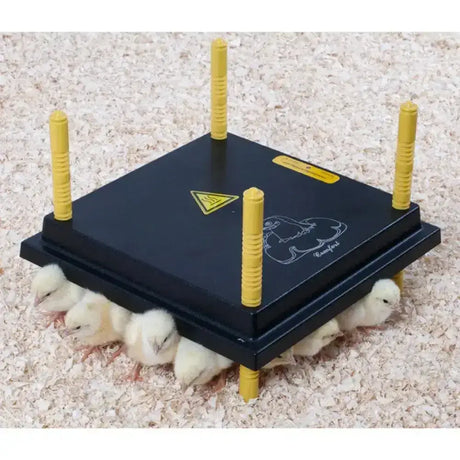 Black plastic chicktec comfort 30 std uk chick warmer with four yellow posts and warning label electric hen brooders extremely economical