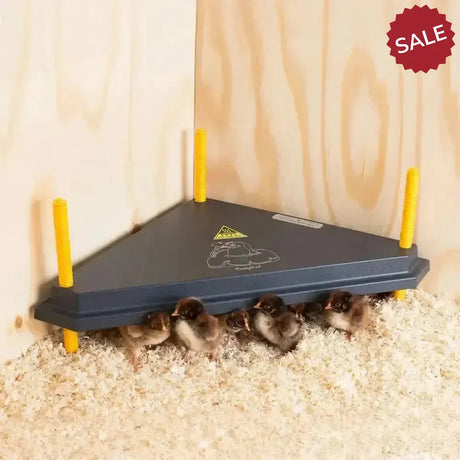 Chicktec Comfort 40 Std Triangle Corner Brooder Uk 40 cm X 40 cm Chicken Nesting Boxes