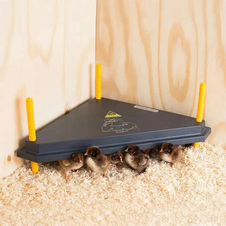 Chicktec Comfort 40 Std Triangle Corner Brooder Uk 40 CM X 40 CM 