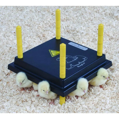 Black plastic chicktec comfort 40 std hen brooder with four yellow posts and regulator electric hen warning label