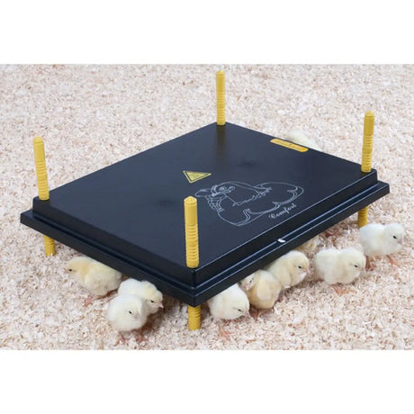 Black rectangular chicktec comfort 50 std electric hen brooder with yellow legs and white chick design on top surface