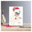 Deckled Edge Christmas Card Rosa Happy Pugmas Gift Cards Barnstaple Equestrian Supplies