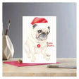 Christmas card rosa featuring a white pug in a red santa hat with happy pugmas text on eco kraft fleck material