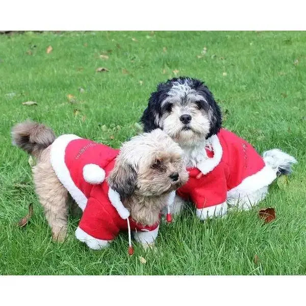 Christmas Dog Coats 35Cm Dog Barnstaple Equestrian Supplies