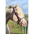 Click Bridle including Reins Purple Mini 