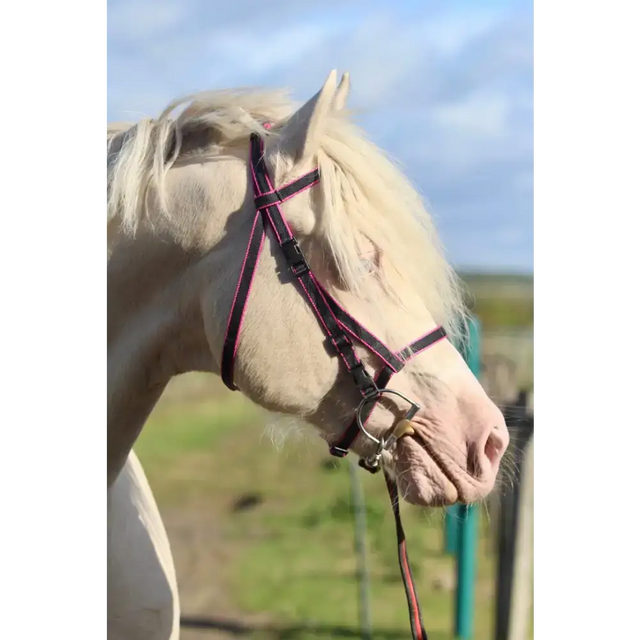 Click Bridle including Reins Purple Mini 