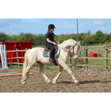 Click Bridle including Reins Purple Mini 