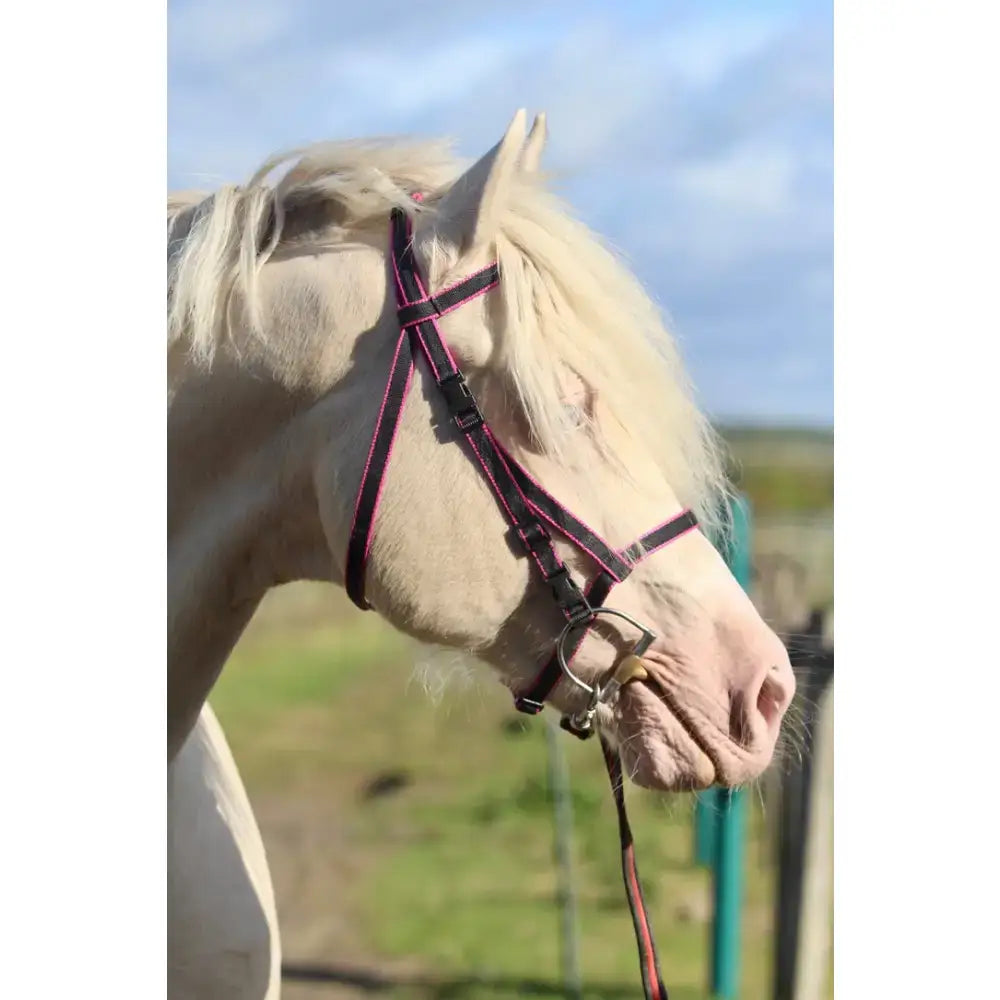 A black and pink click bridle with metal buckle featuring cheek pieces and browband loops with min-to-max lengths