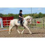 Cream-colored horse wearing click bridle with cheek pieces, browband loops, and min-to-max lengths in red and blue