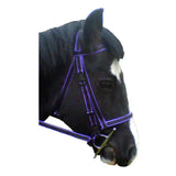 Purple reflective click bridle with black straps, metallic buckle, cheek pieces, browband loops, and min-to-max lengths