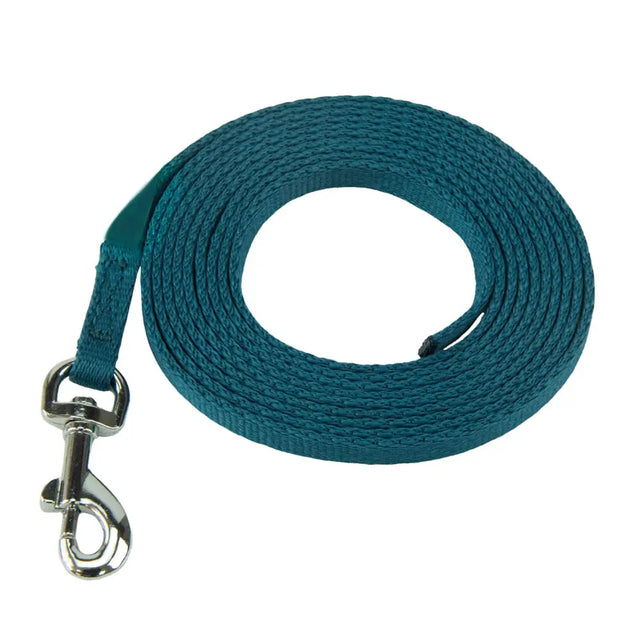 Teal woven fabric dog leash with silver metal clasp from coachi puppy mini training line for coaching puppy unwanted behaviour