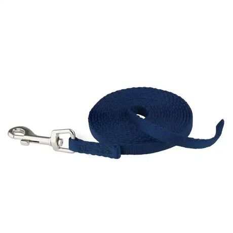 Navy blue woven coachi puppy training leash with silver metal clasp for lightweight indoor house and place avoidance use